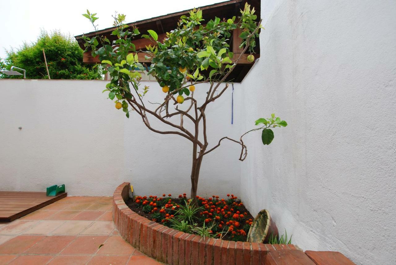 The Painter'S Home Vilassar De Mar Esterno foto